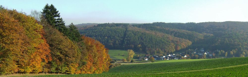 Ehrenbach village